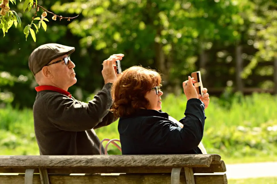 Seniors photographing in a park