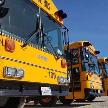 Parked school busses blue sky