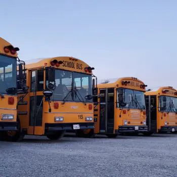 Yellow school buses parked lot