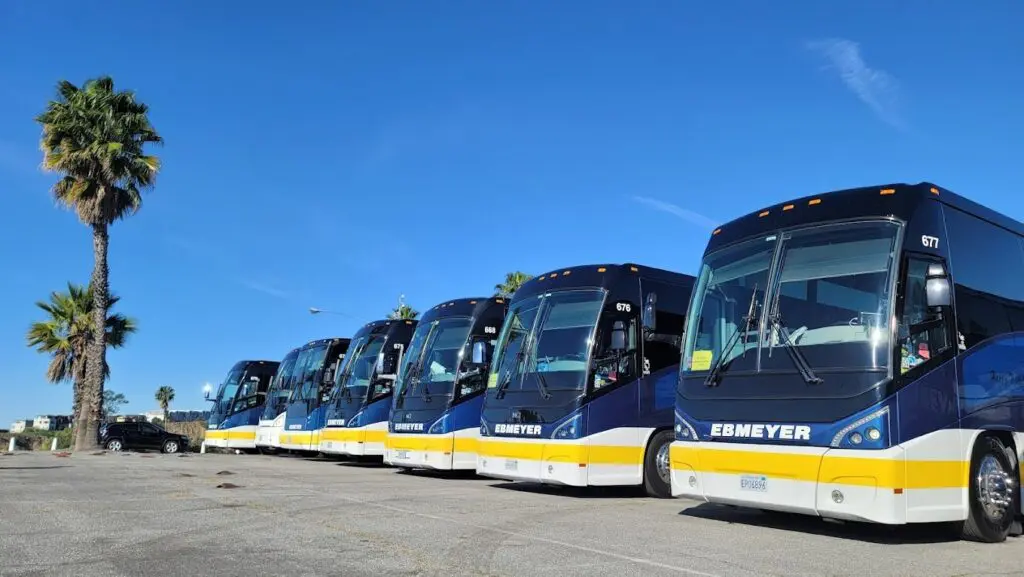 Charter buses parked near palm