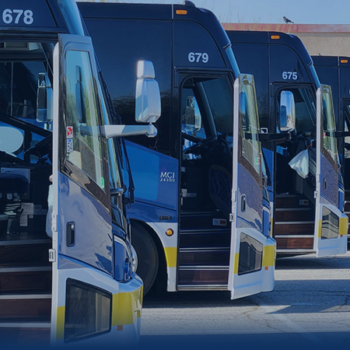 Charter buses parked in row