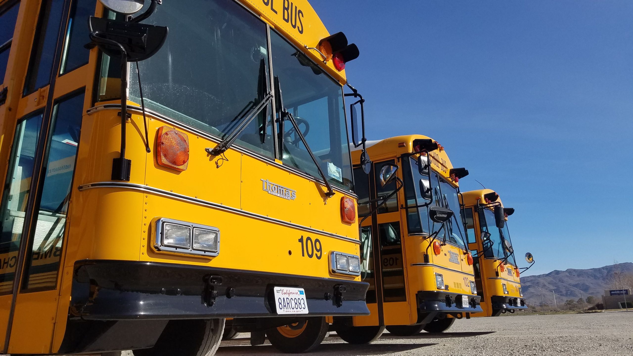 Parked school busses blue sky