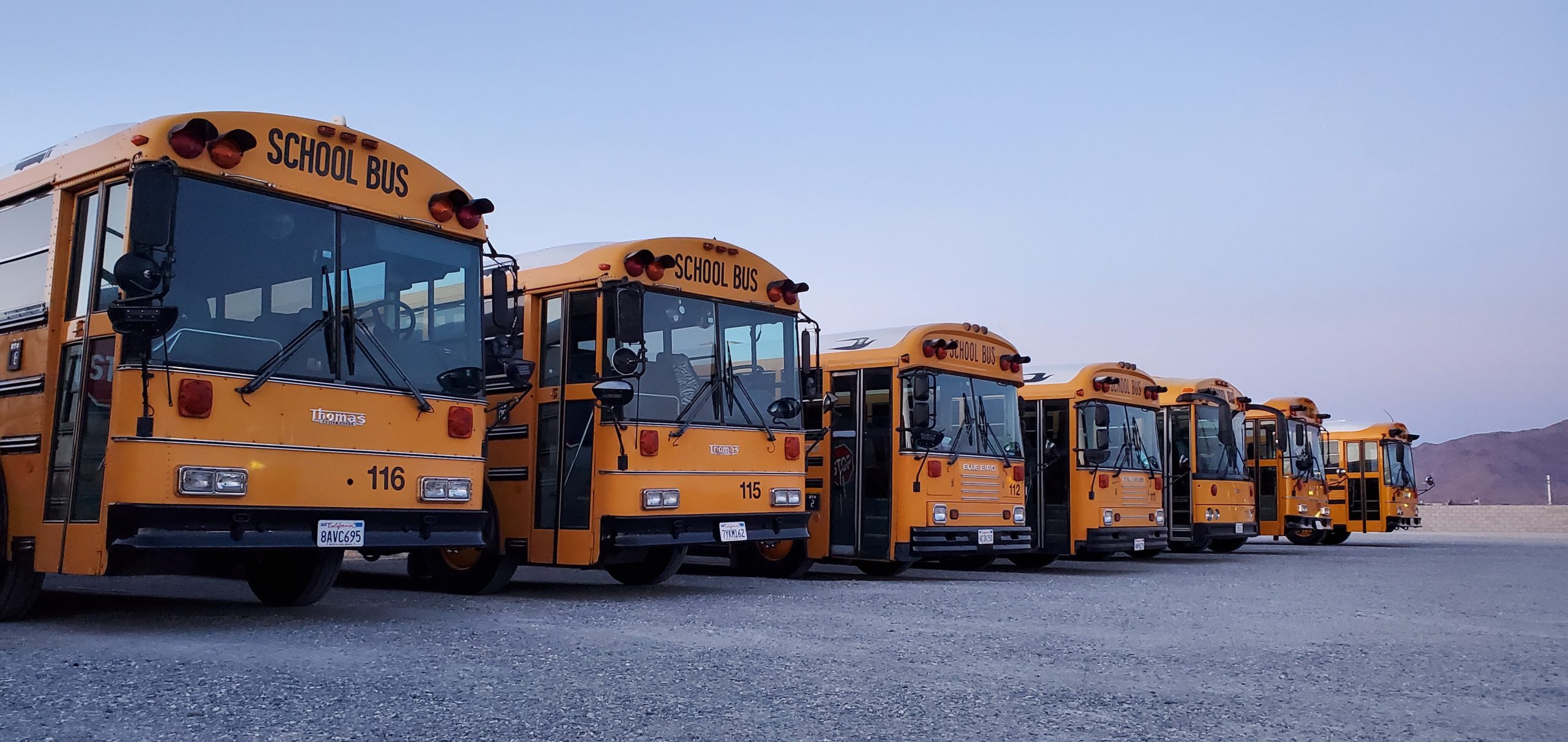 Yellow school buses parked lot