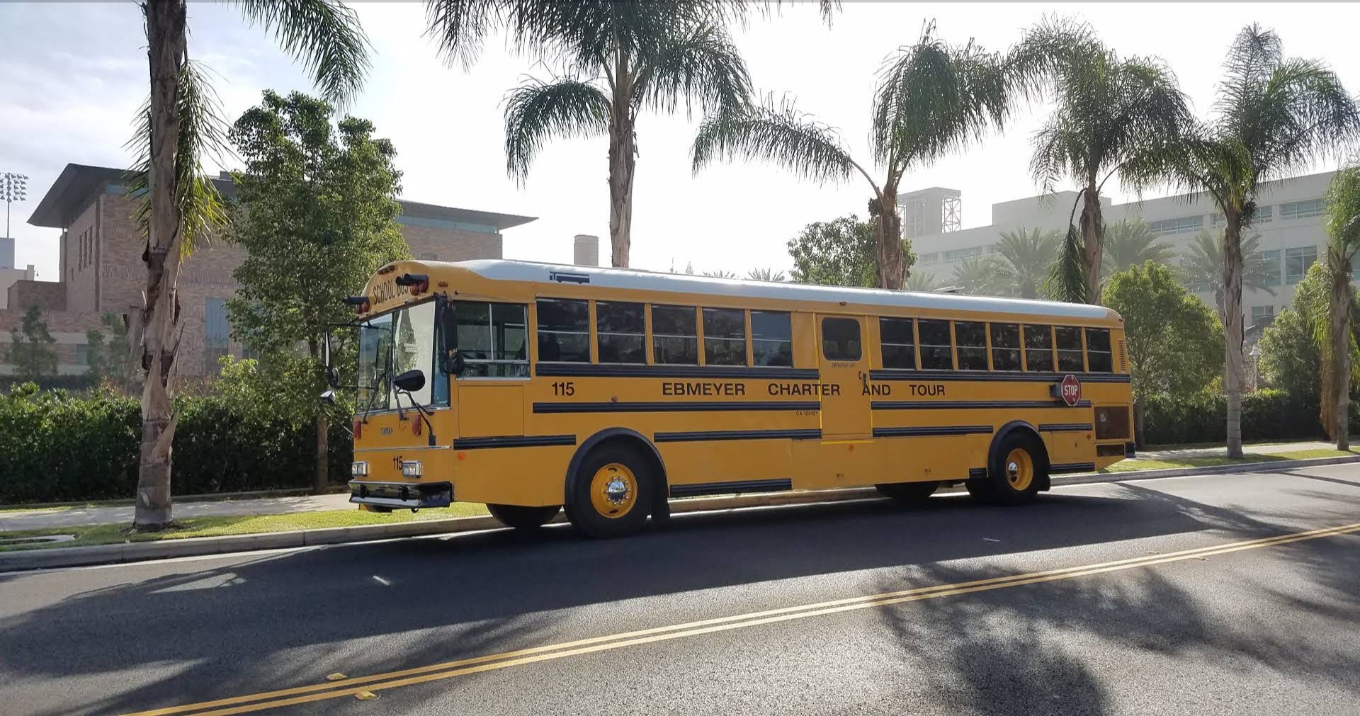 Yellow charter bus palm trees