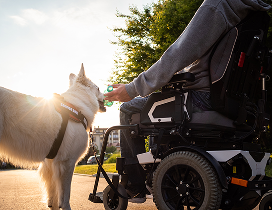 Person in wheelchair with service dog