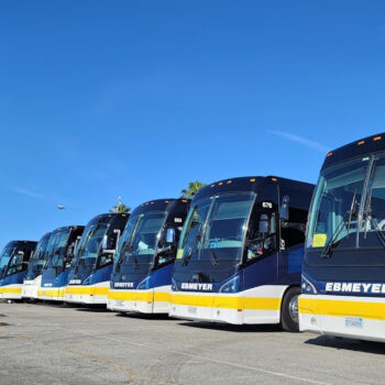 Row of parked charter buses
