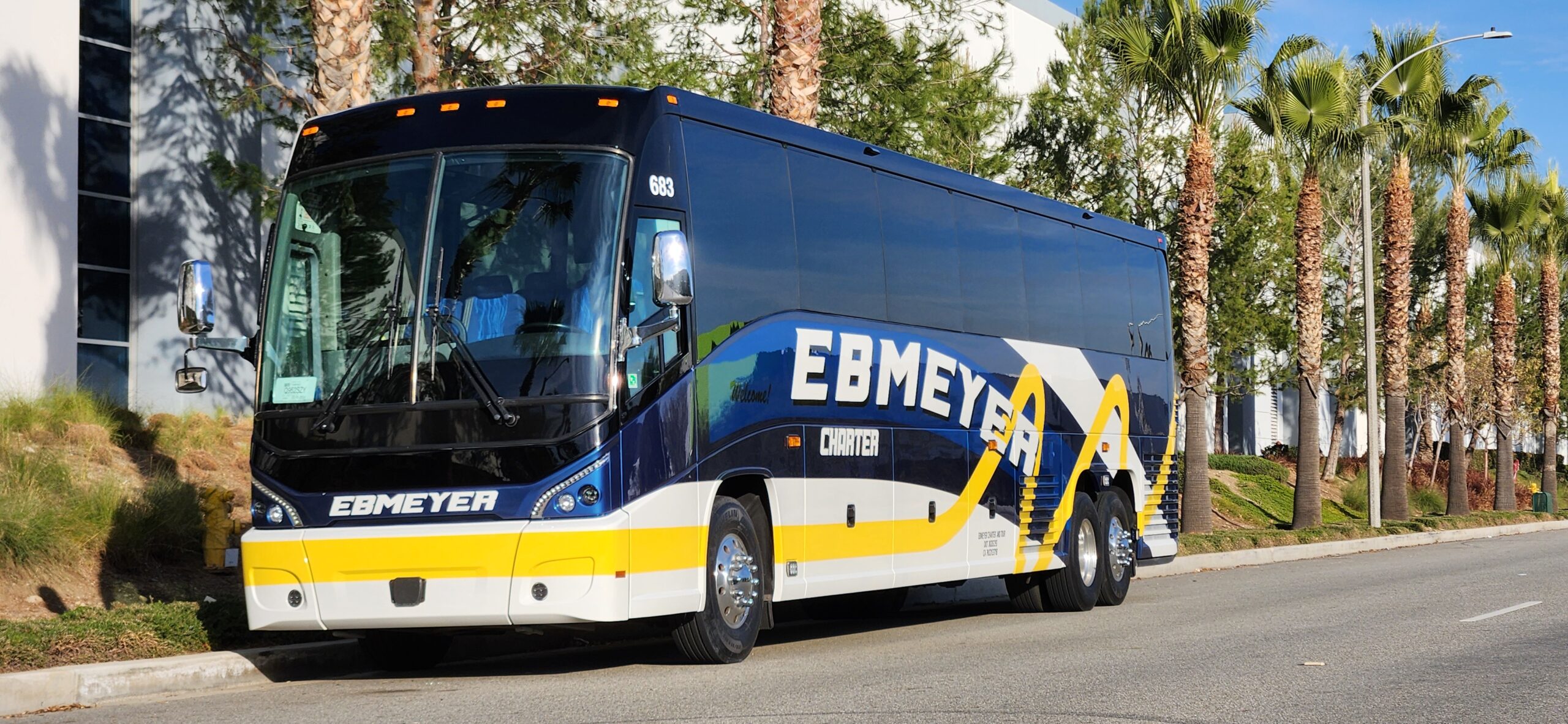 Charter bus on palm-lined street