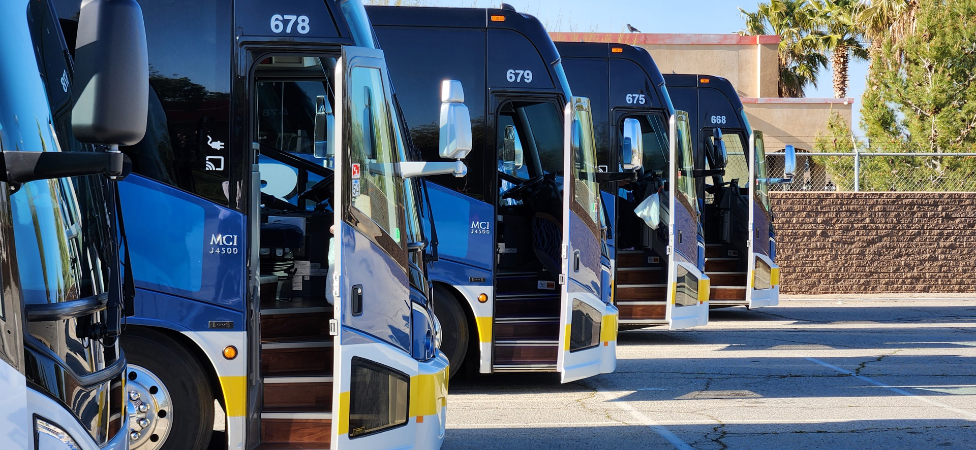 Modern blue charter buses lineup