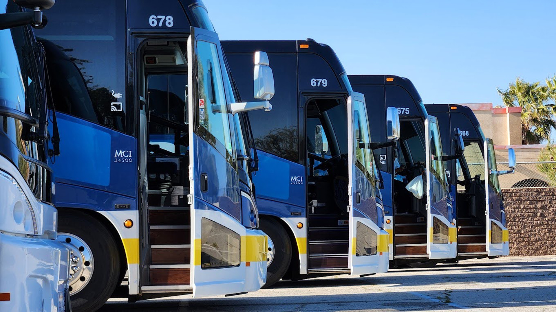 Fleet of blue charter buses