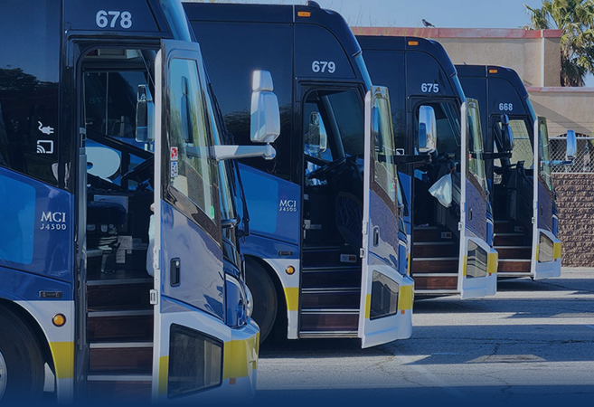 Charter buses parked in row