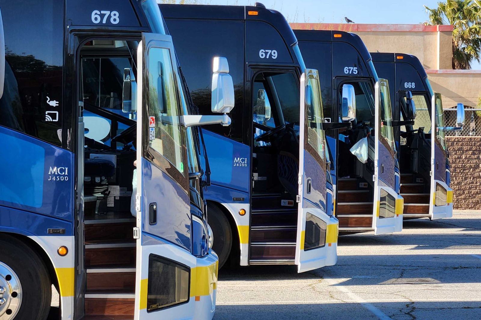 Charter buses lined up outdoors