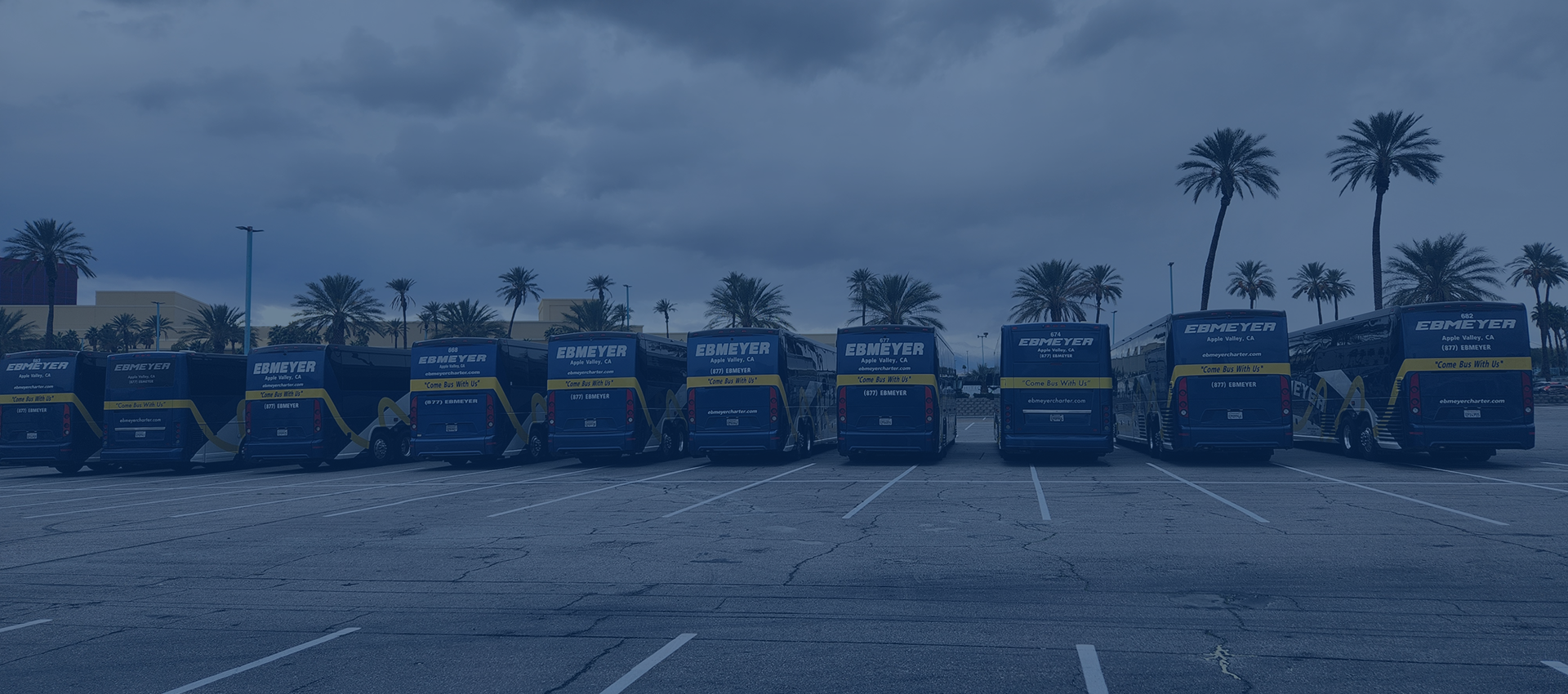 Charter buses in parking lot