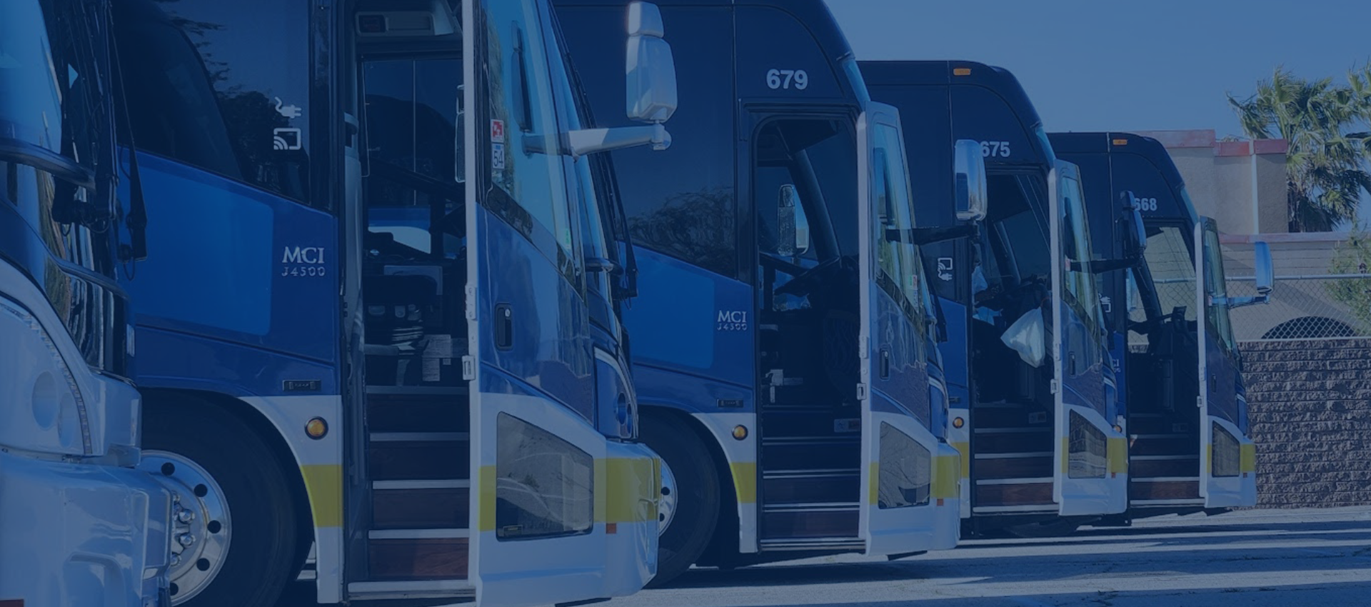 Row of blue charter buses